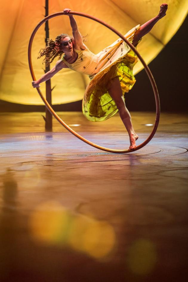 Cirque Presents: Luzia