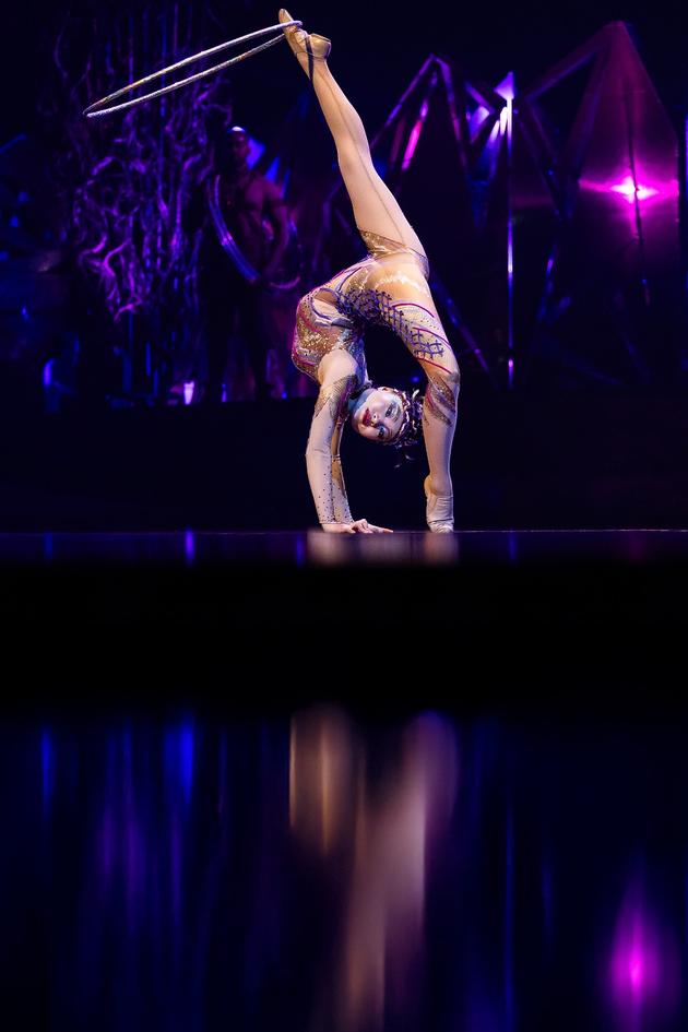 Varekai, Alegria & Quidam