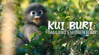 Kui Buri: Thailand's Hidden Eden