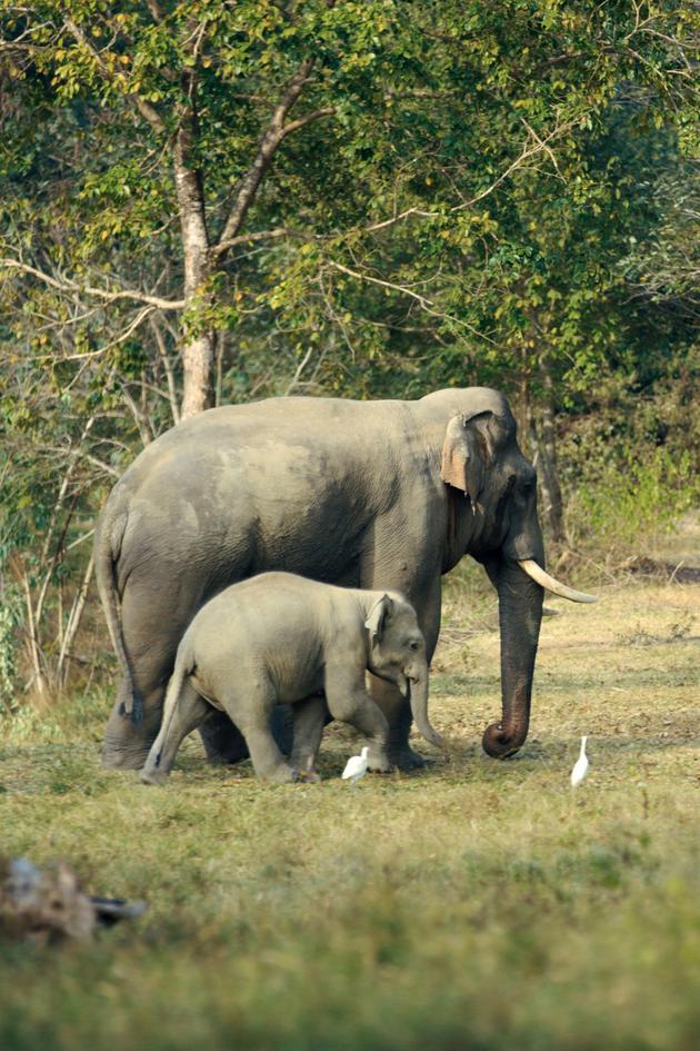 Kui Buri: Thailand's Hidden Eden