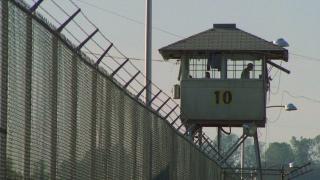 United Gangs of America