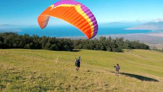 Learning to Fly
