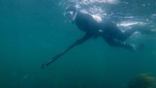 Spearfishing