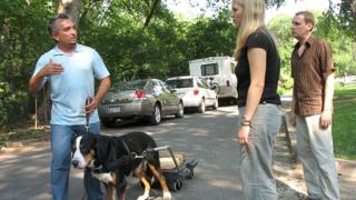 Dog Whisperer