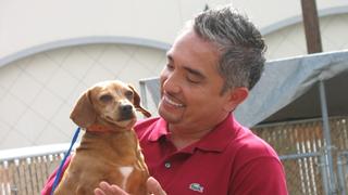 Dog Whisperer