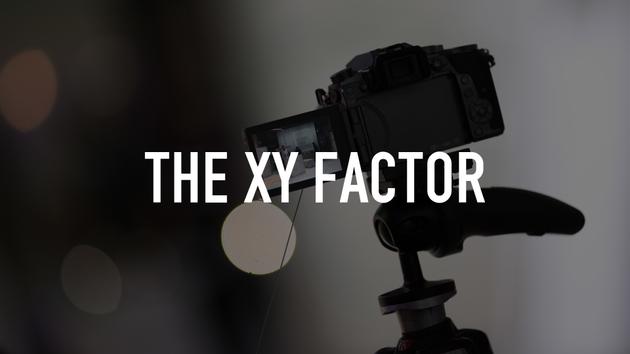 The XY Factor