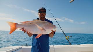 Local Fave: Mutton Snapper vs. Tautog