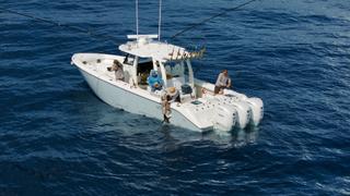 Shark Bait: Cobia vs. Kingfish