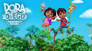  watch Dora and Diego's Rainforest Rescue
