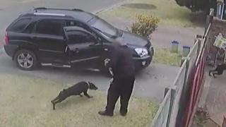Operation Turf War