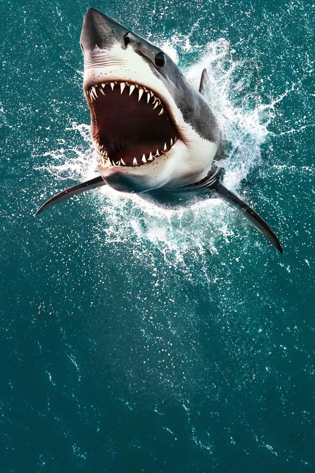Air Jaws: The Hunt for Colossus