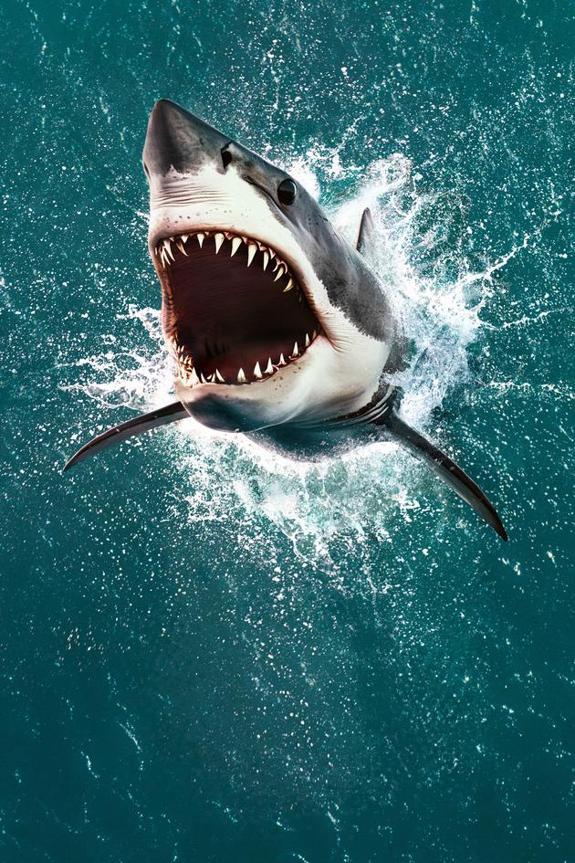 Air Jaws: The Hunt for Colossus