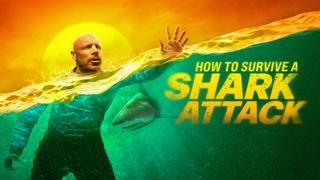 How to Survive a Shark Attack