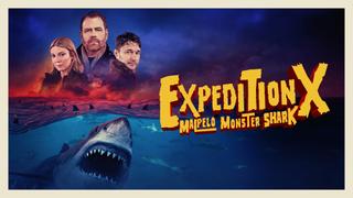 Expedition X: Malpelo Monster Shark