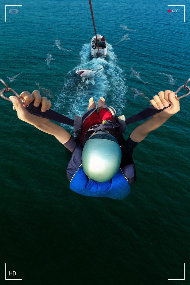 Caught! Sharks Strike Back