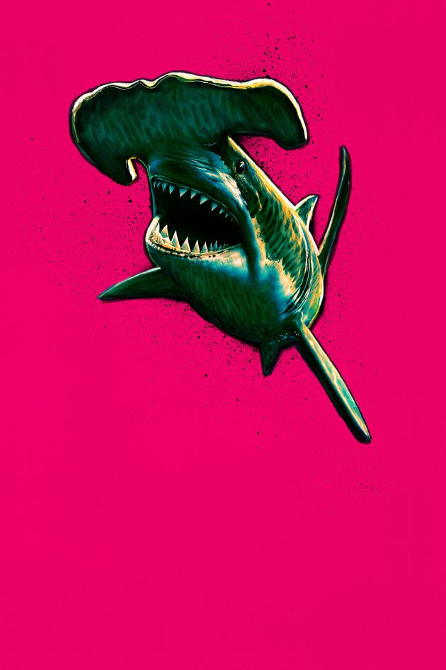 Frankenshark
