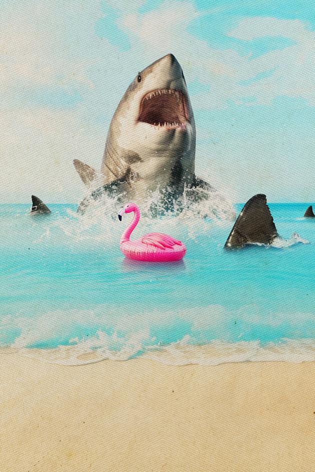 Florida's Death Beach