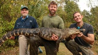 Meth Gators