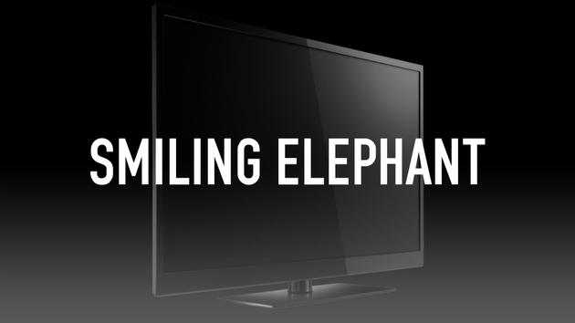 Smiling Elephant