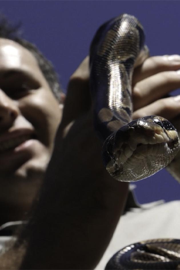Snake Season