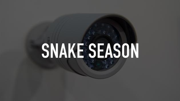 Snake Season
