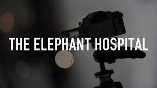  watch The Elephant Hospital
