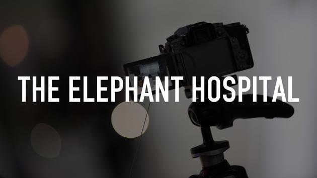The Elephant Hospital
