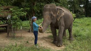 Supersized Care Supersized Care