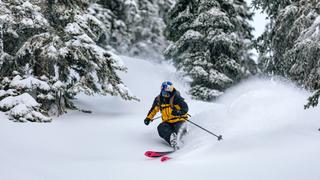 Tree Skiing Mastery