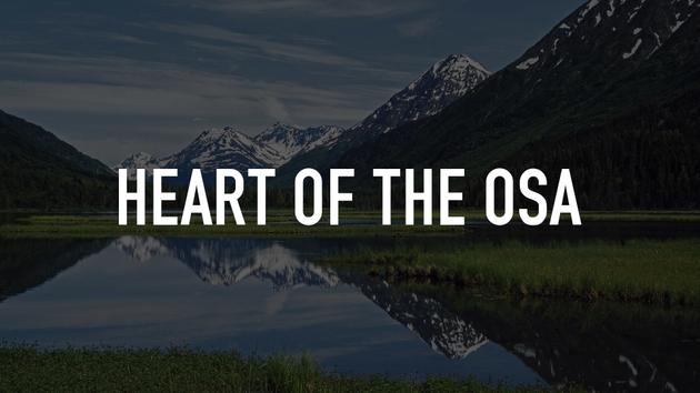 Heart of the Osa