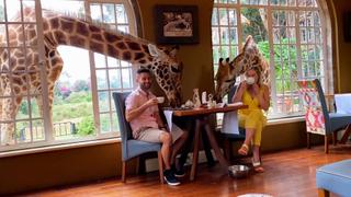 Dine With Animals
