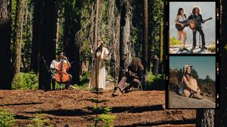 Scout Willis in Sequoia National Park