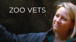 Zoo Vets