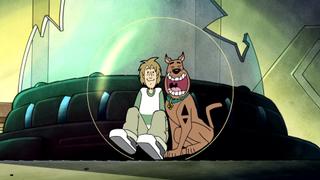 Zoinks the Wonder Dog