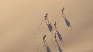Deserts
