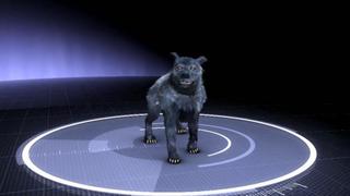 Mutant Canines