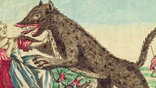 American Werewolf