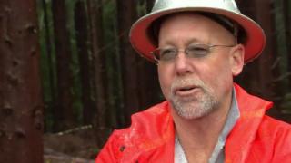 Loggers Under Fire