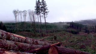 Ax Men