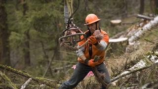 Ax Men