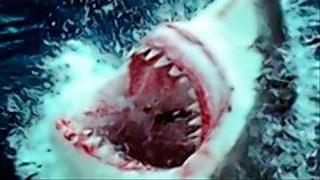 Jaws