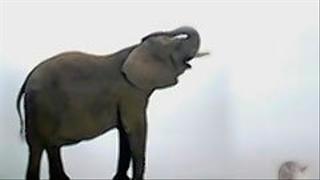 Size