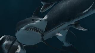 Deep Sea Killers