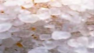 Salt
