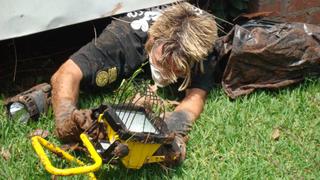 Kitty Corpse Cleanup