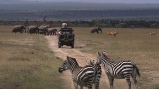 Africa