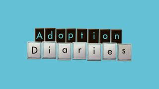 Adoption Diaries