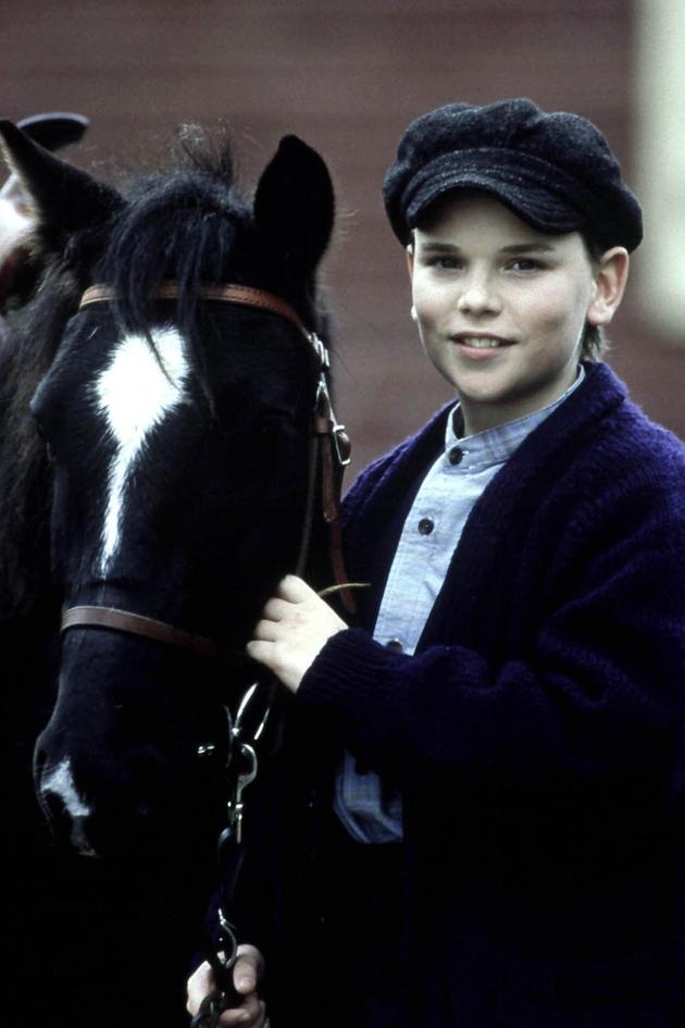 Pit Pony