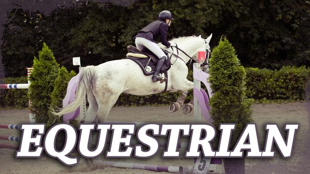 Equestrian