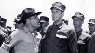 Gomer, the Perfect M.P.